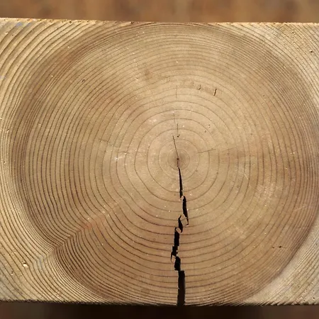 Marina Lounge Hostel *