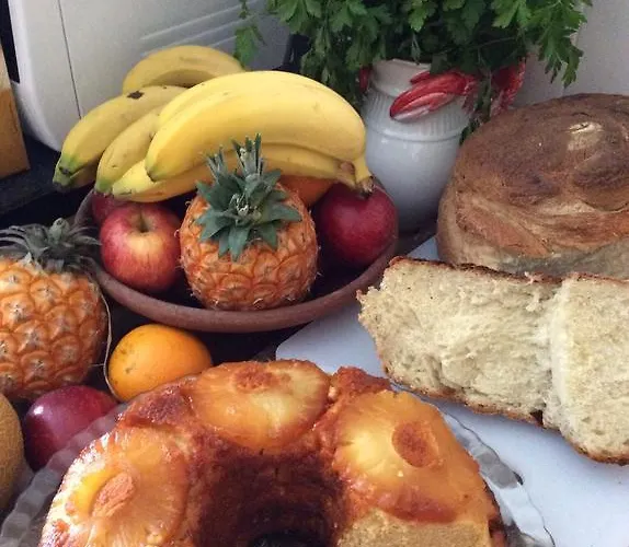 Vandrerhjem Marina Lounge Ponta Delgada