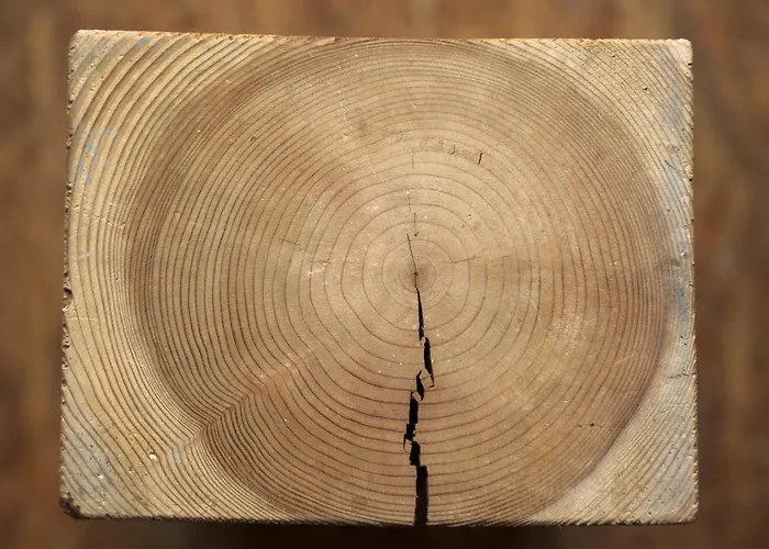 Marina Lounge Vandrerhjem *